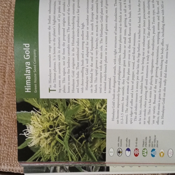 Book - Picture 2 of 3